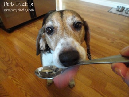 pupcakes, dog cupcakes, dog party, dog treats, homemade dog treats, cute beagle
