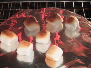 mallo bites, marshmallow and chocolate, not smores, roasted marshmallows, toasted marshmallows and chocolate party pinching