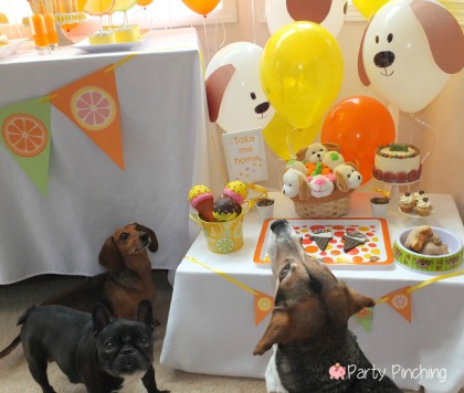 Dog Days of Summer party, puppy party ideas, dog theme party, summer party, balloon time, beagle freedom project, dog cookies, cute dog cake, party for dogs