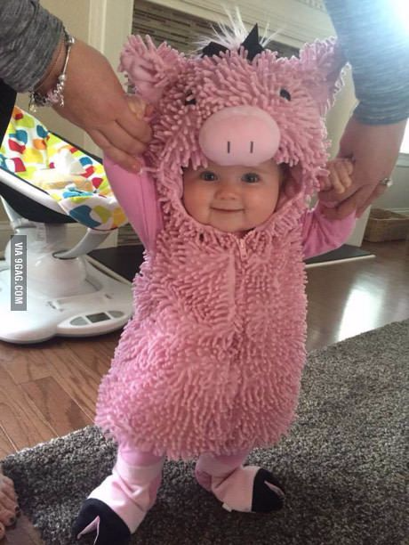 pig costume infant